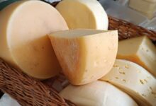 Photo of Уникальный ассортимент «вкусный-сыр.рф»