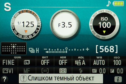 Параметры съемки, отображаемые на экране фотокамеры Nikon D5300