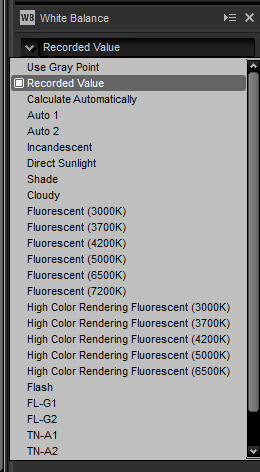 Список готовых предустановок. Recorded Value — те параметры баланса белого, при которых фото был сделано.