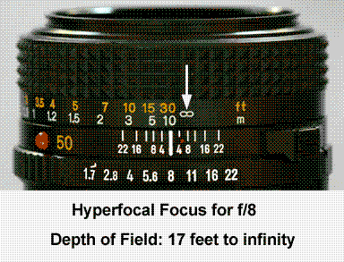 animated depth of field scale