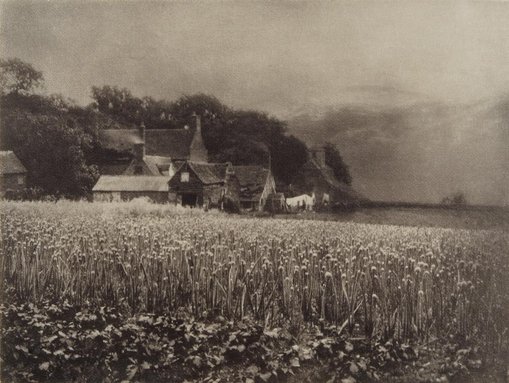 	George DavisonThe onion field 1890, printed 1907 from Camera Work, no 8, April 1907photogravure