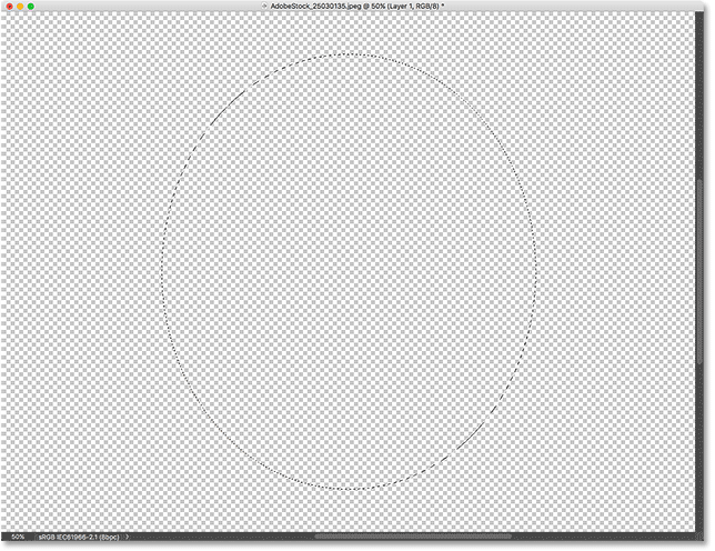 Drawing an elliptical selection outline on the bottom layer