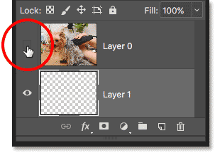 Clicking the layer visibility icon again in the Layers panel.