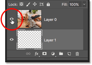 Clicking the layer visibility icon to hide the image