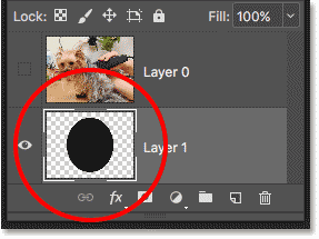 The Layers panel showing the content and transparency on the bottom layer