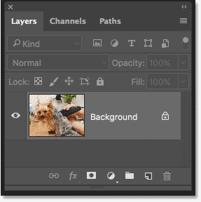 Photoshop Layers panel showing the original photo on the Background layer