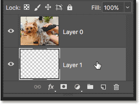 Selecting the bottom layer to add content
