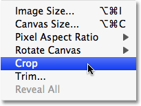 Selecting the Crop command in Photoshop. Image © 2008 Photoshop Essentials.com