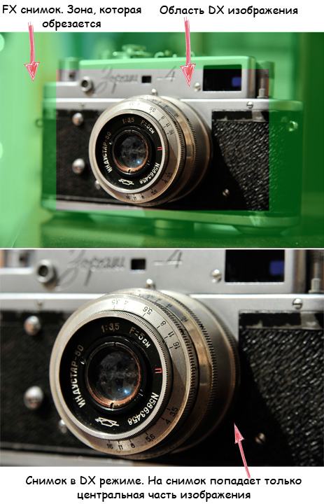 Разница между кропнутой и полнокадровой камерой