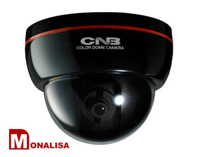 CNB-DFL-21S Купольная видеокамера