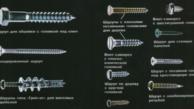 Photo of Виды шурупов и их особенности